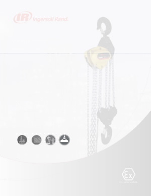 irits1113133-0317atex-kinetic-chain-hoist-flyerpdf